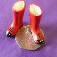 Wellingtons Ladybirds Design