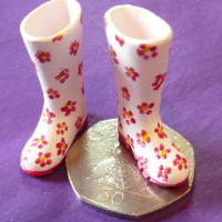 Wellingtons Pink Flowers Design