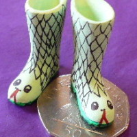 Wellingtons Snakes Design