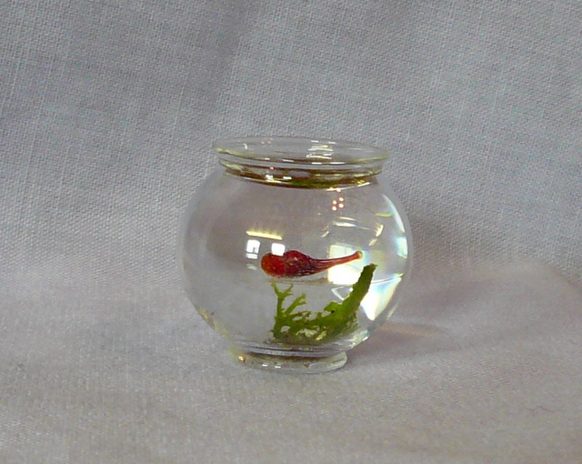goldfish bowl pictures. glass goldfish bowl: Dolls