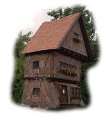 Tudor 5