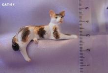 Cat - Black and Tan Patches