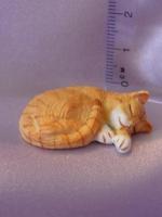 Cat - Sleeping