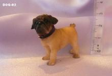 Pug