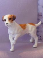 Jack Russell
