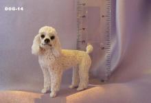 Poodle