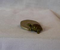 Tortoise