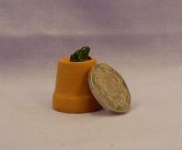 Frog and Flower Pot