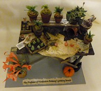 The Professor of Vindictive Botany&acirc;��s potting-bench 